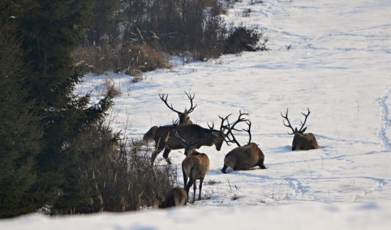uhni z môjho miesta