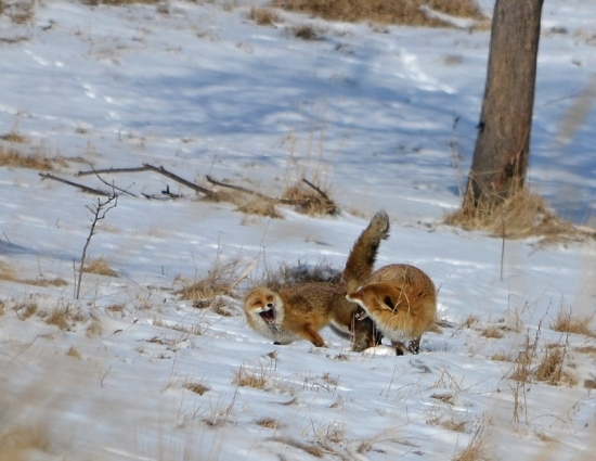 este jedna s tohto jedinečneho momentu