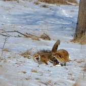 este jedna s tohto jedinečneho momentu