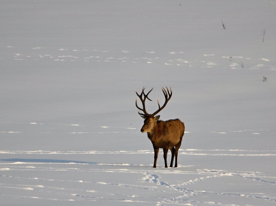 vtedy ked mal este pokoj