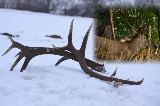 Aj s bývalým majiteľom