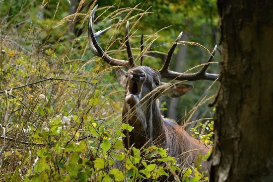 Adrenalín zaručený