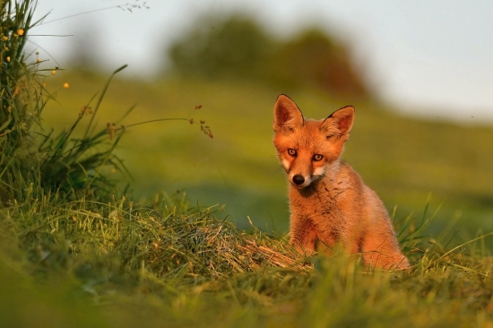 Päť minút pred západom