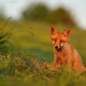 Päť minút pred západom