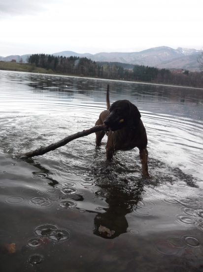 Farbiar práca vo vode