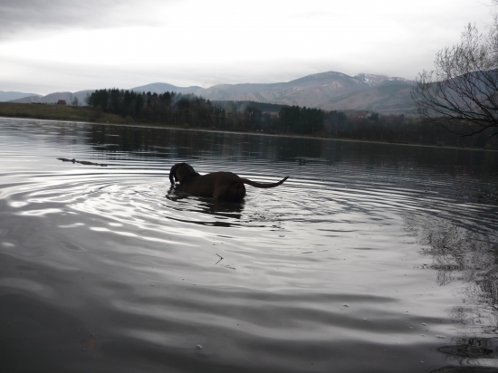 Prinašanie z vody Farbiar