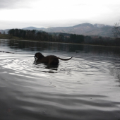 Prinašanie z vody Farbiar