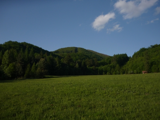 Košariská