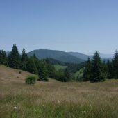 Biely potok v pozadí Kopa Velká Fatra