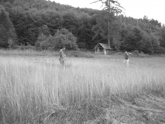 Ako za starých čias