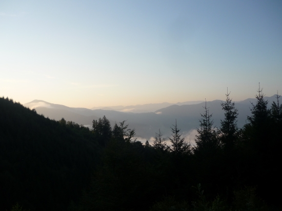 Ploštiny