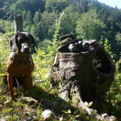 Pod Garajkou