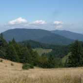 Po ruji to tu stíchlo