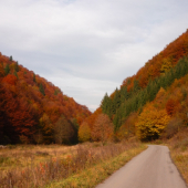 Veľkofatranská Jeseň