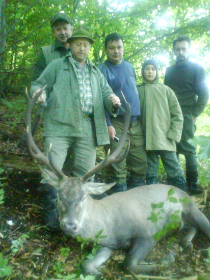 Kamarátov jelen zo zelenej