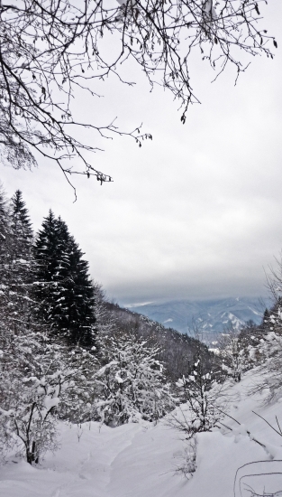 V Bielom Potoku  Velká Fatra