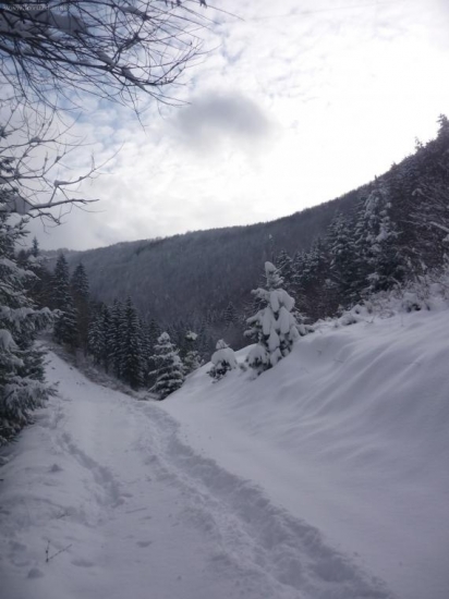 Sneh zakril celu zem