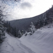 Sneh zakril celu zem