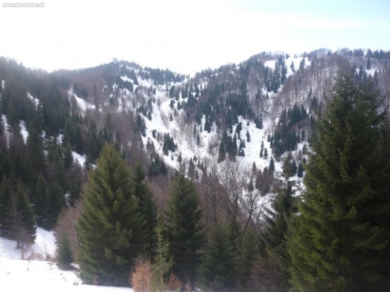 Biely potok pod Nolčovskou Mogurou