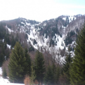 Biely potok pod Nolčovskou Mogurou