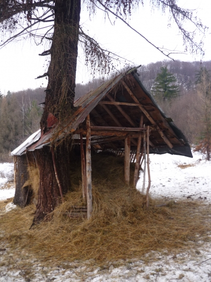 Doba je zlá doba je krutá