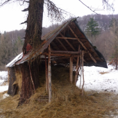 Doba je zlá doba je krutá