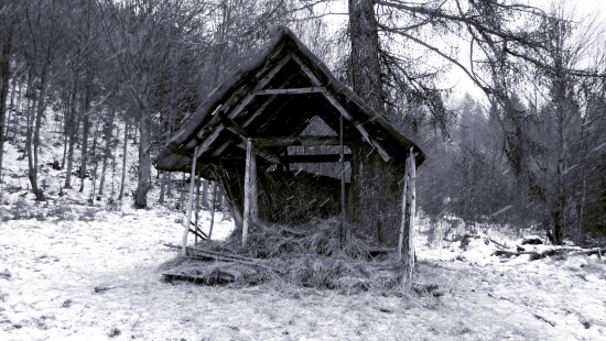 Či prší či sneží