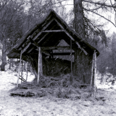 Či prší či sneží