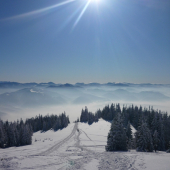 Chleb v pozadi  V.Fatra