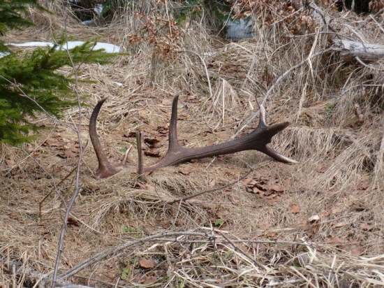 pár k nemu je už mesiac doma , tento odhalilo až teplo