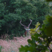 krásna podívana na 20 m