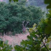 krásna podívana na 20 m