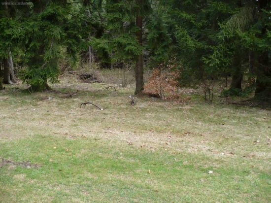 možno sa to raz aj takto podarí