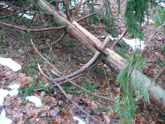 sobotňajší, super pohlad