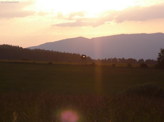 niekto nechal svietiť