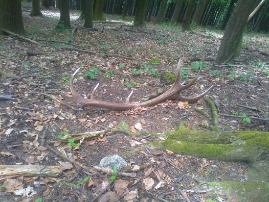 včerajšia úspešná dohladávka