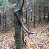 dnes sa na mna usmielo štastie