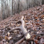 tak už aj na mna sadlo štastie