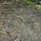 zo dva rôčky na mňa čakal