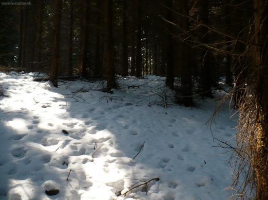 už tie menšie, ale potešil:)