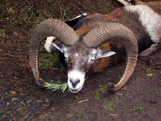 Když vyhasnou světla