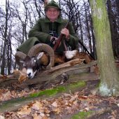 Jak Lubenko svého prvního muflona střelil