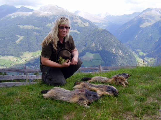 GROSSGLOCKNER _ALPSKÁ ANABAZE