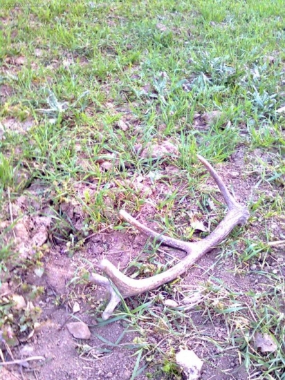 Včera na prechádzke...