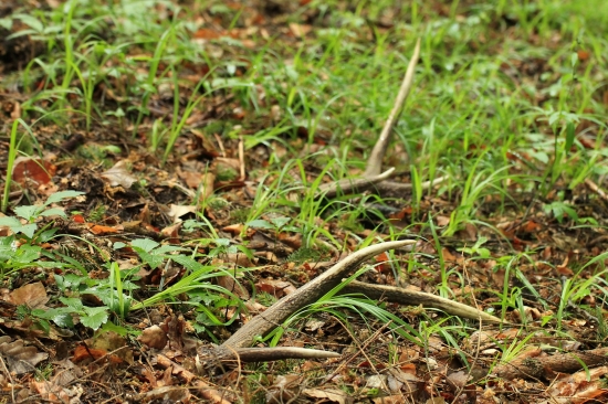 Dnes v práci pár šestráka