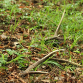 Dnes v práci pár šestráka