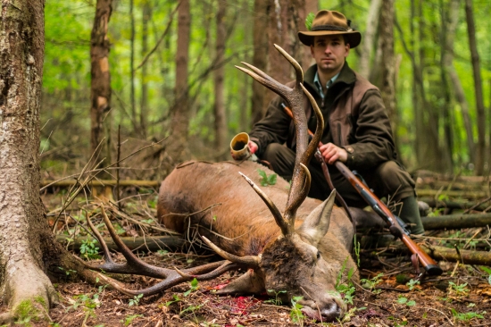 Môj dnešný jeleň III.VT