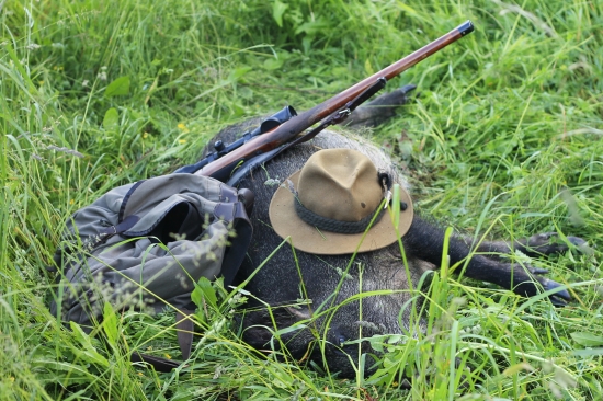 Letný úlovok-diviača