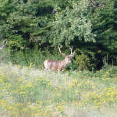 Vecerné stretnutie...