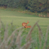 Ešte si potiahnem...